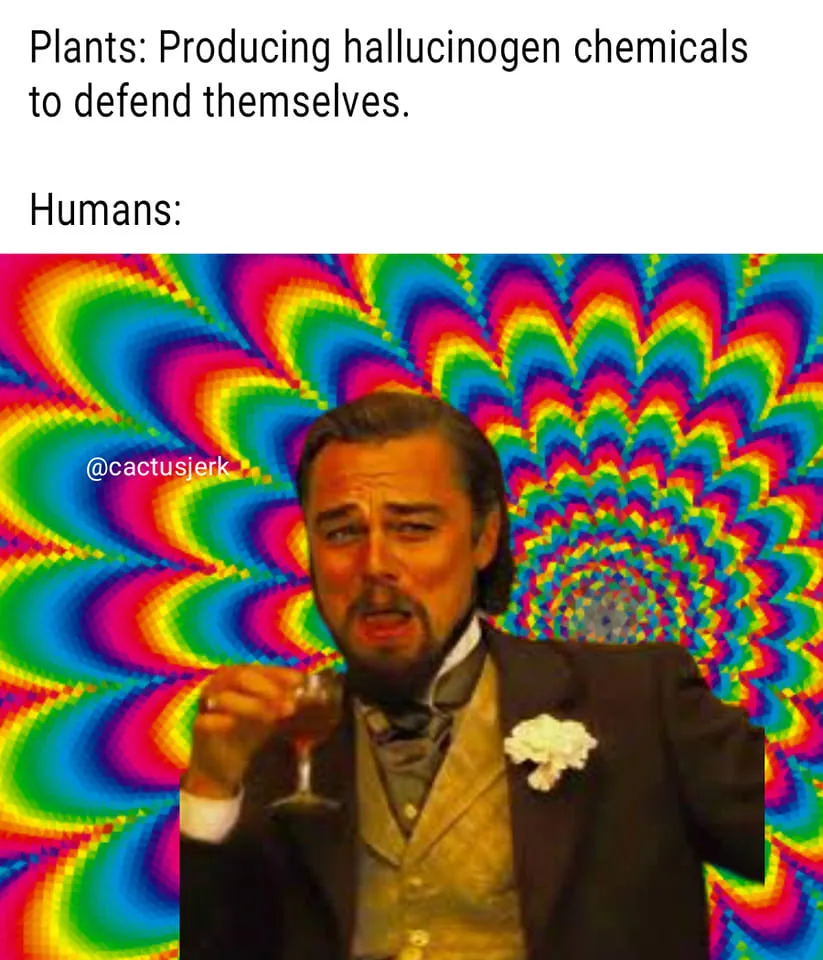 hallucinogenics meme