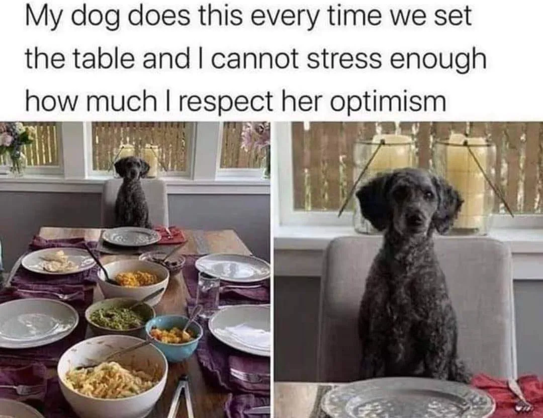 dinner time meme