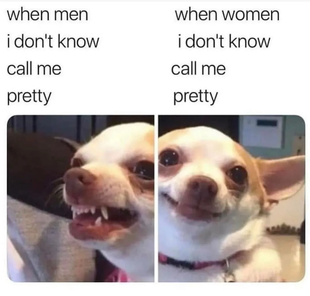 compliment meme