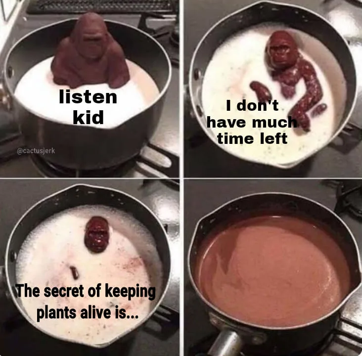 houseplant meme