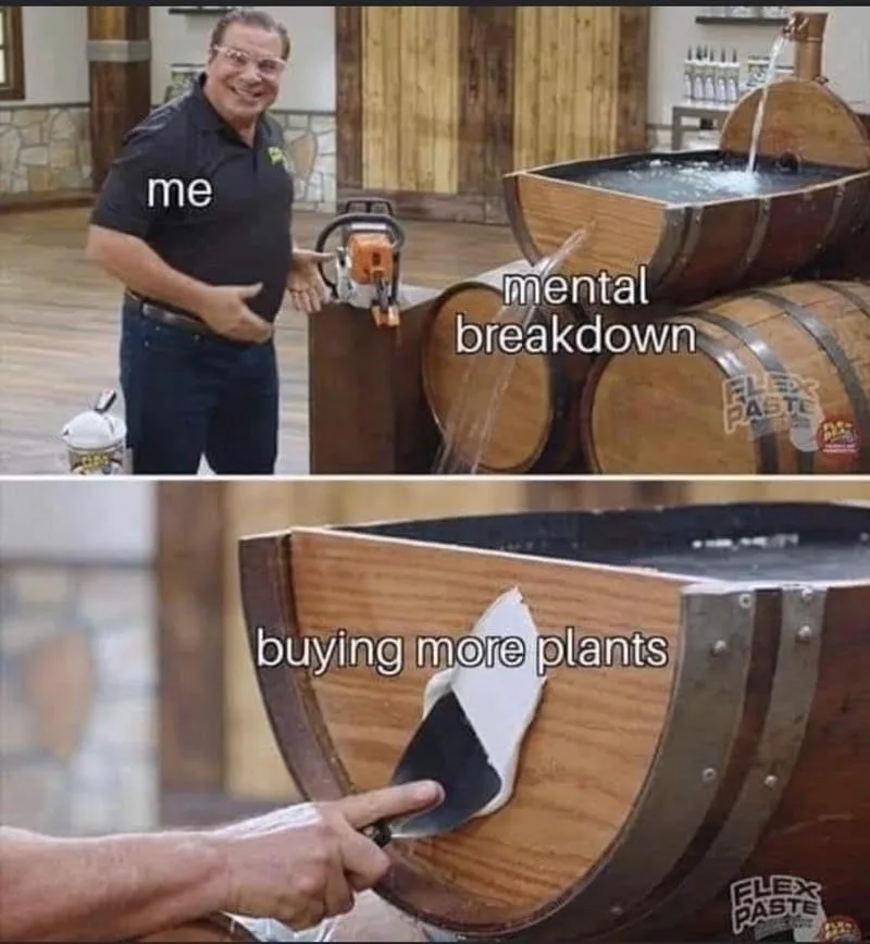 houseplant meme