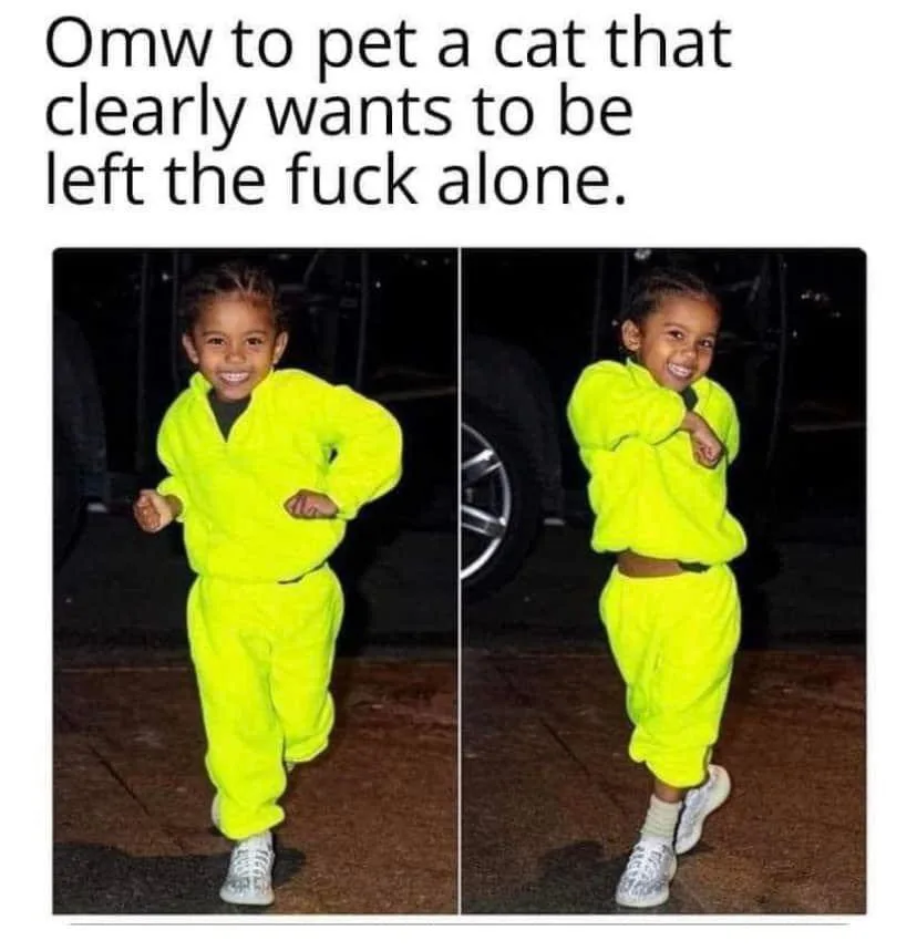 petting meme