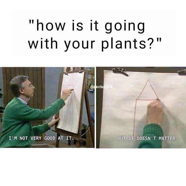 houseplant meme