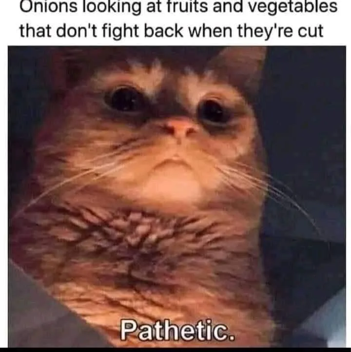 onion meme