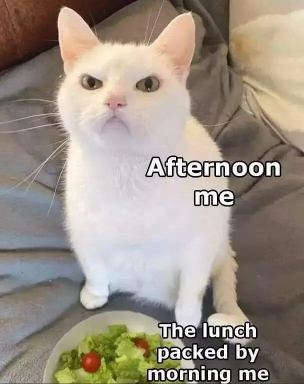 self meme