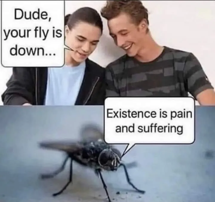 suffering meme