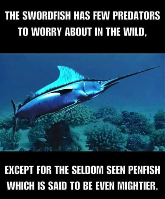 swordfish meme