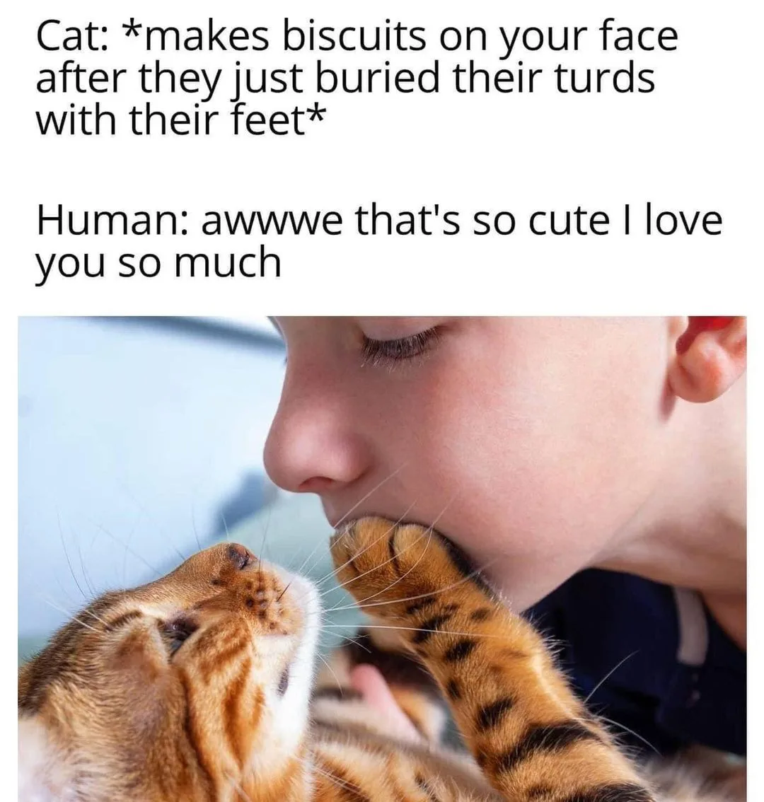 hygiene meme