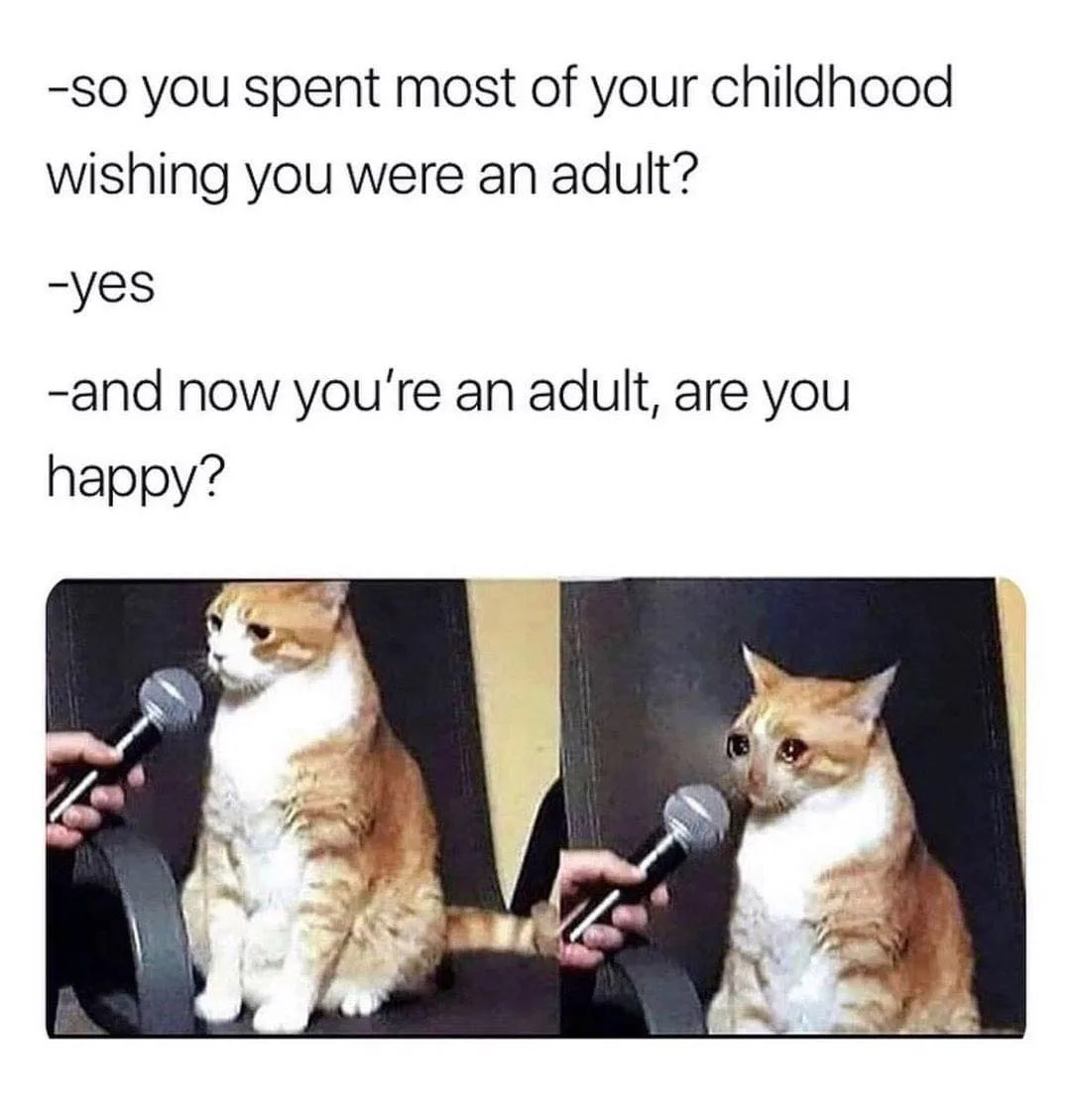 growing up meme