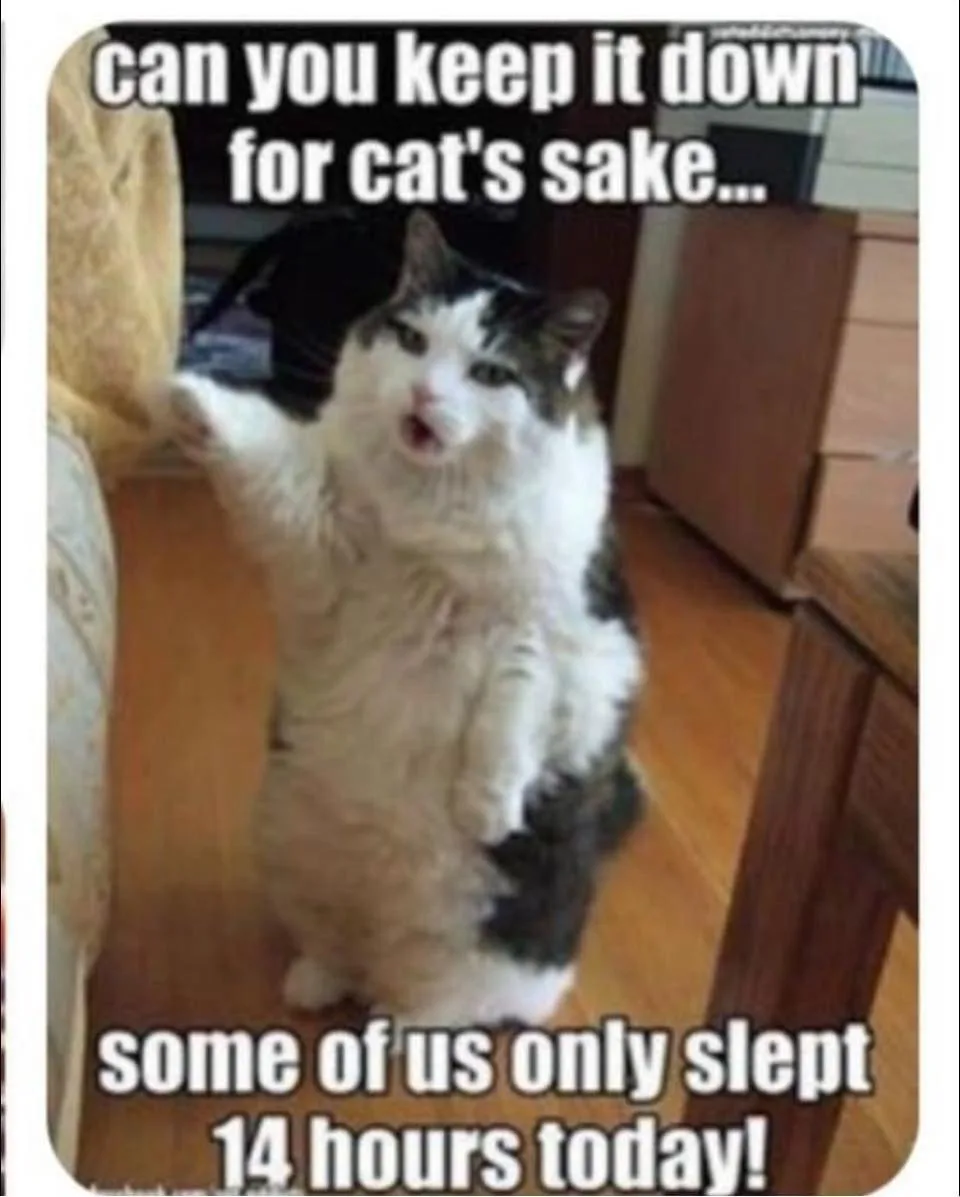 sleep meme