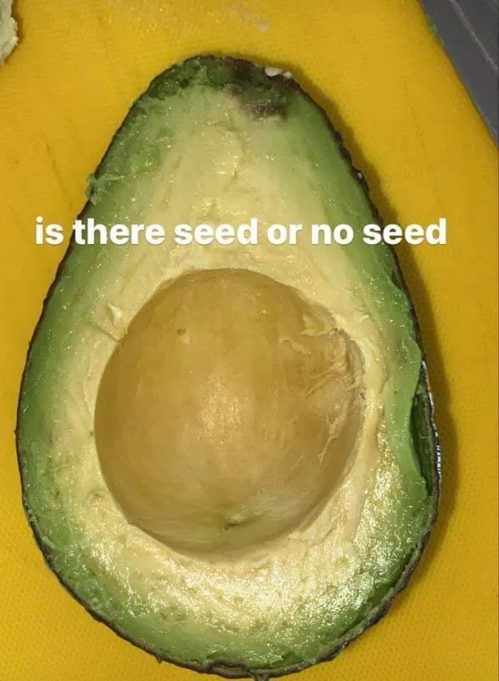 hole meme
