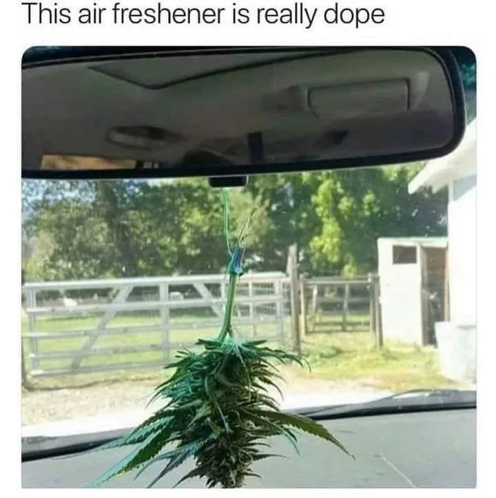 air freshener meme