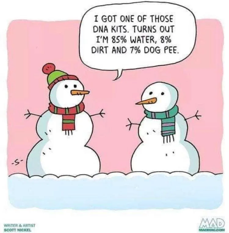 snowman meme