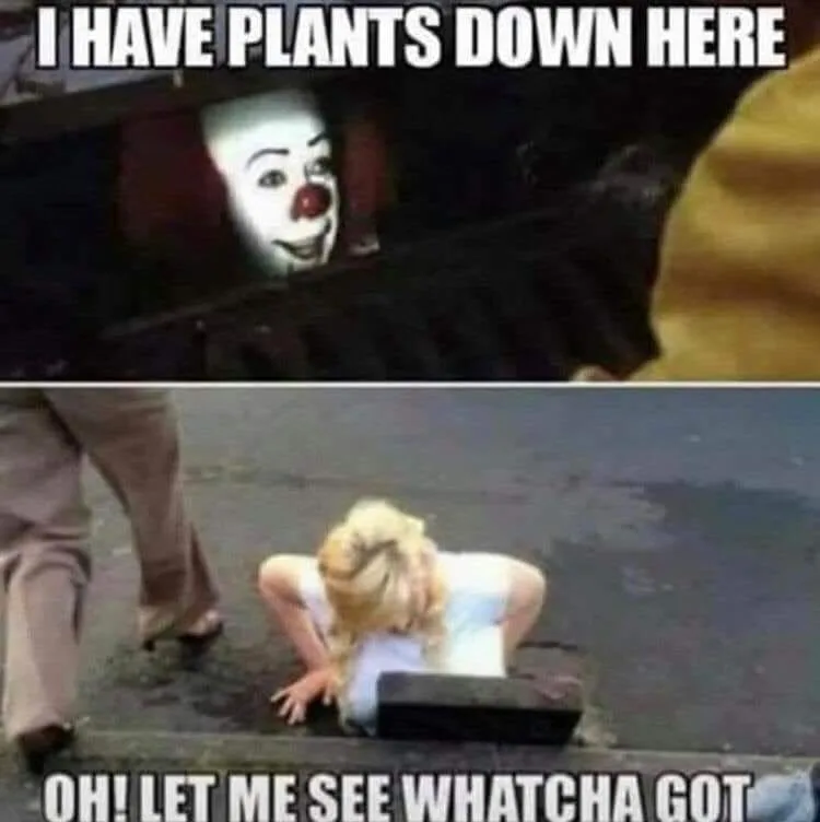 IT (clown) meme