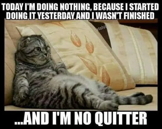 quitting meme