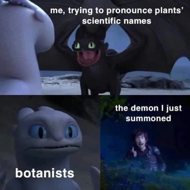 plant meme