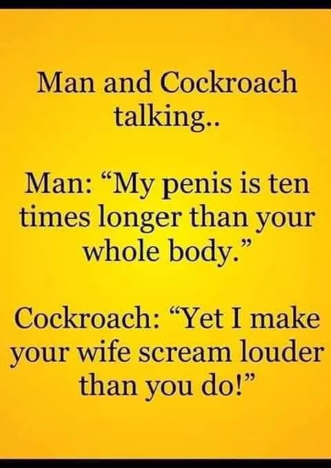 cockroach meme