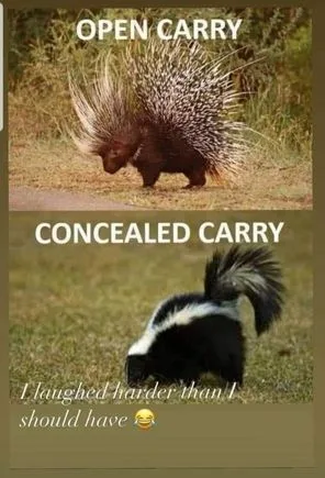 gun ownership meme