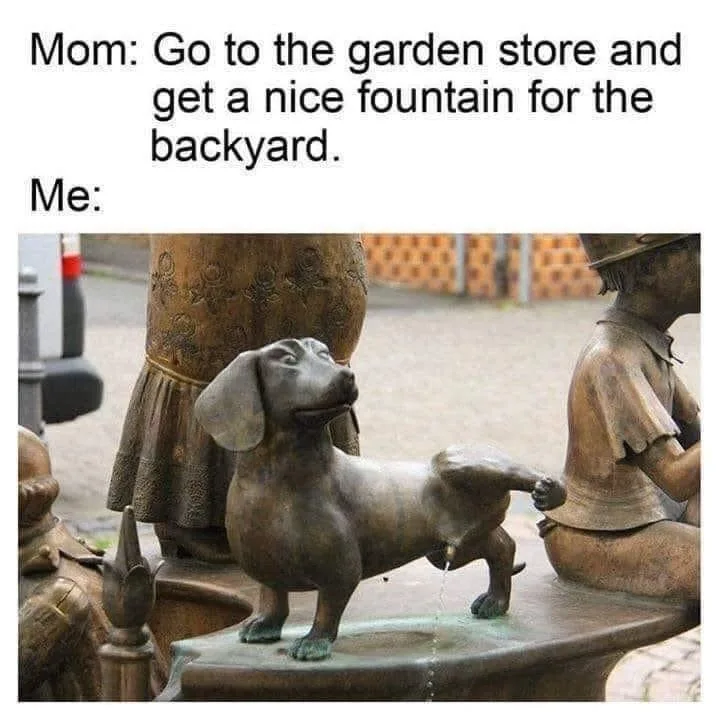 fountain meme