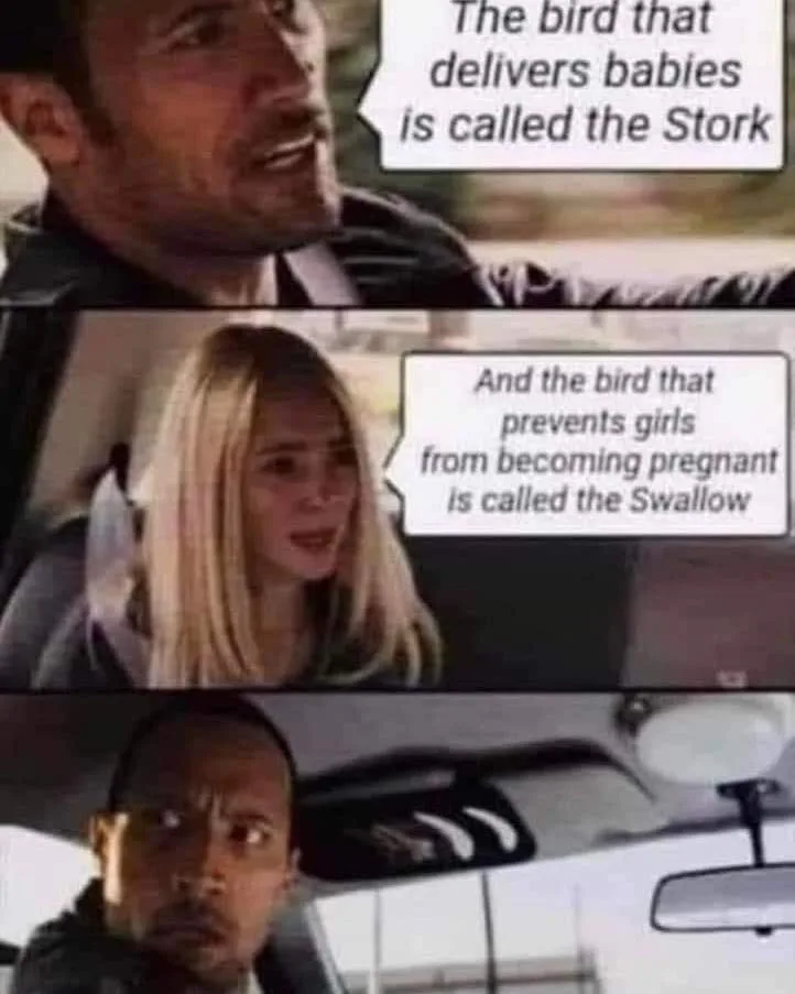 stork meme
