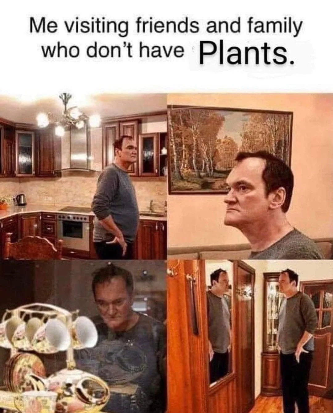 houseplant meme
