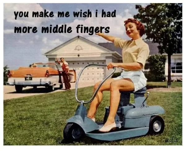 middle finger meme