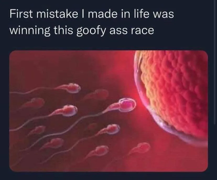 egg meme