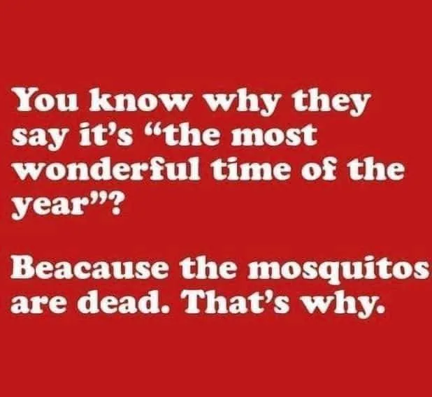 mosquito meme