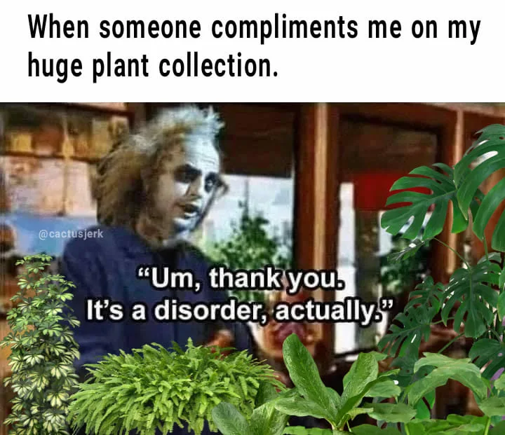 houseplant meme