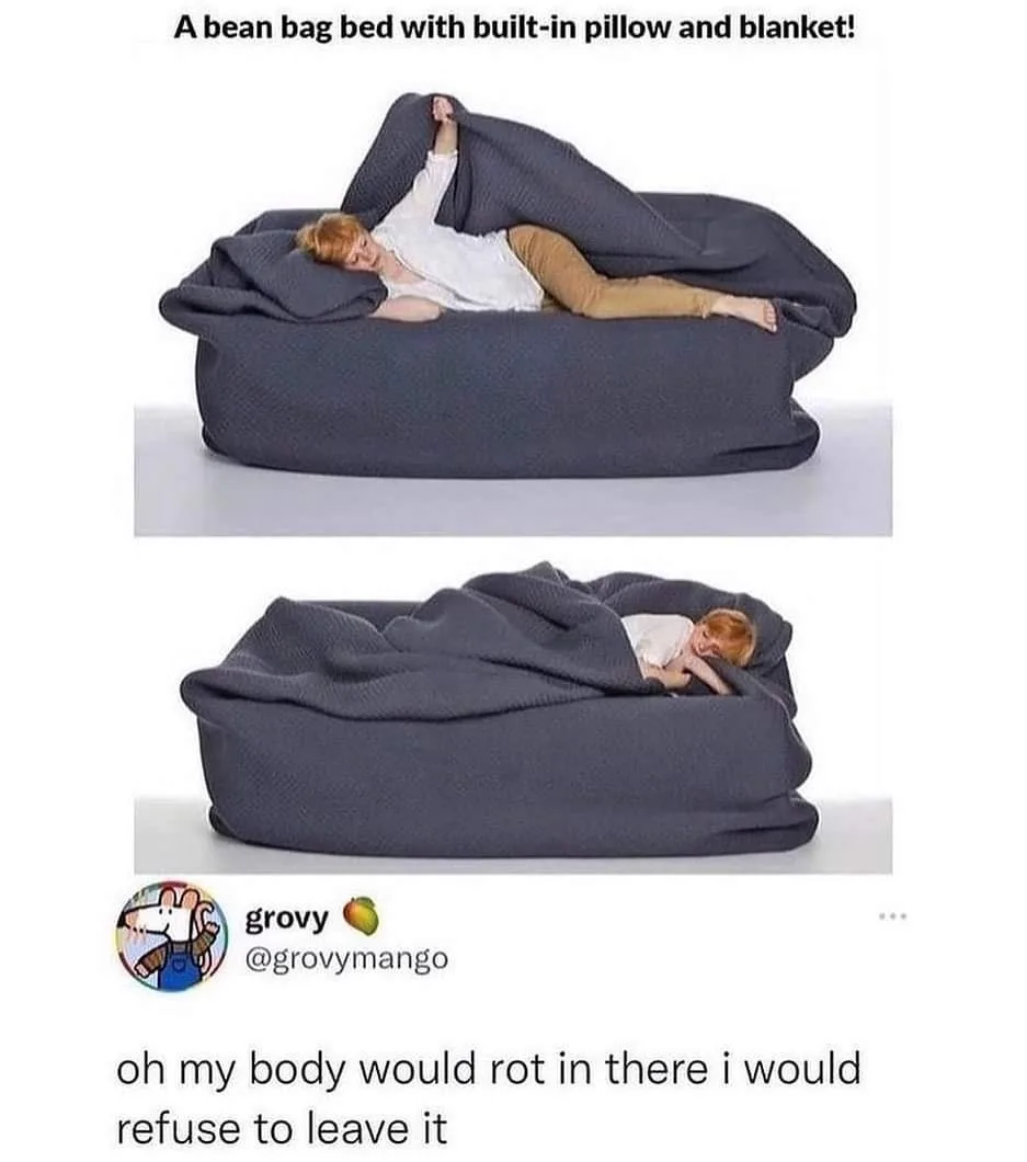 bean bag meme