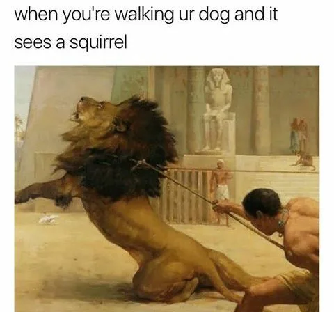 walking the dog meme