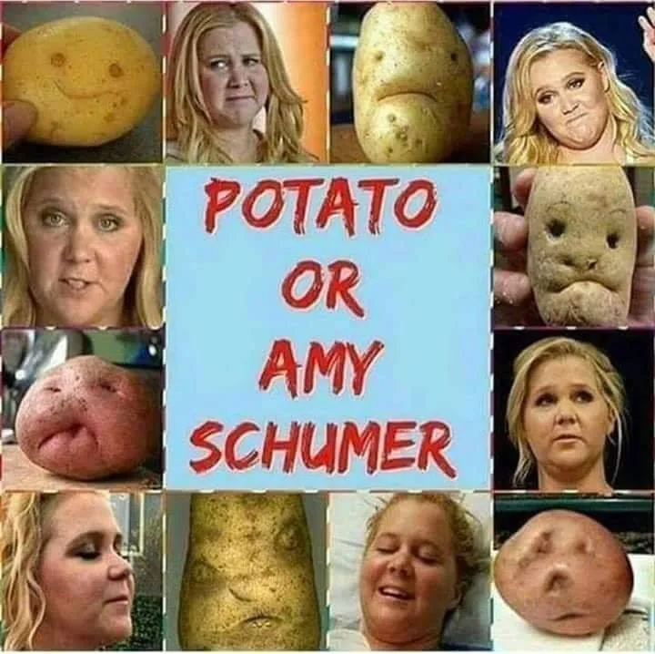 Amy Schumer meme