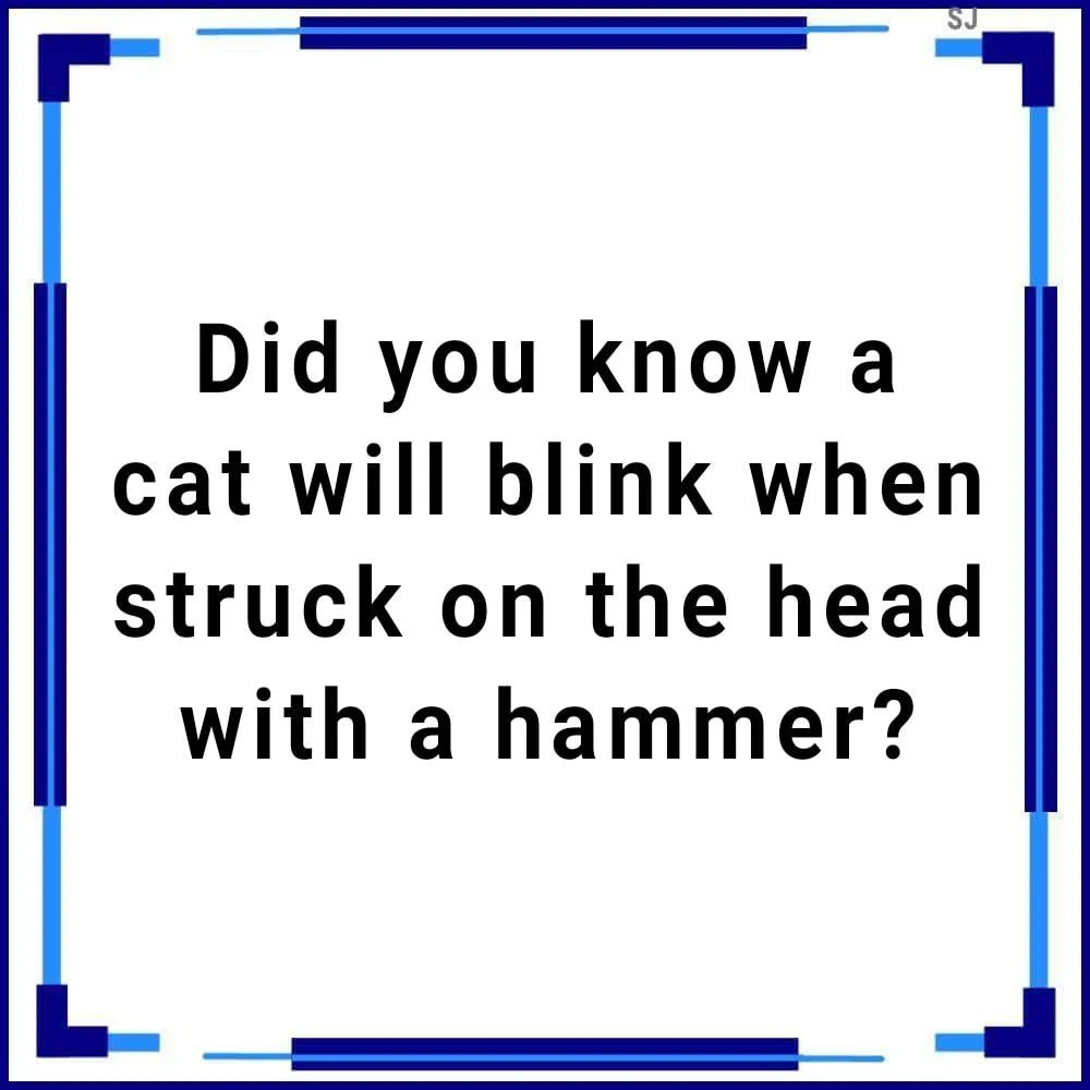 blinking meme