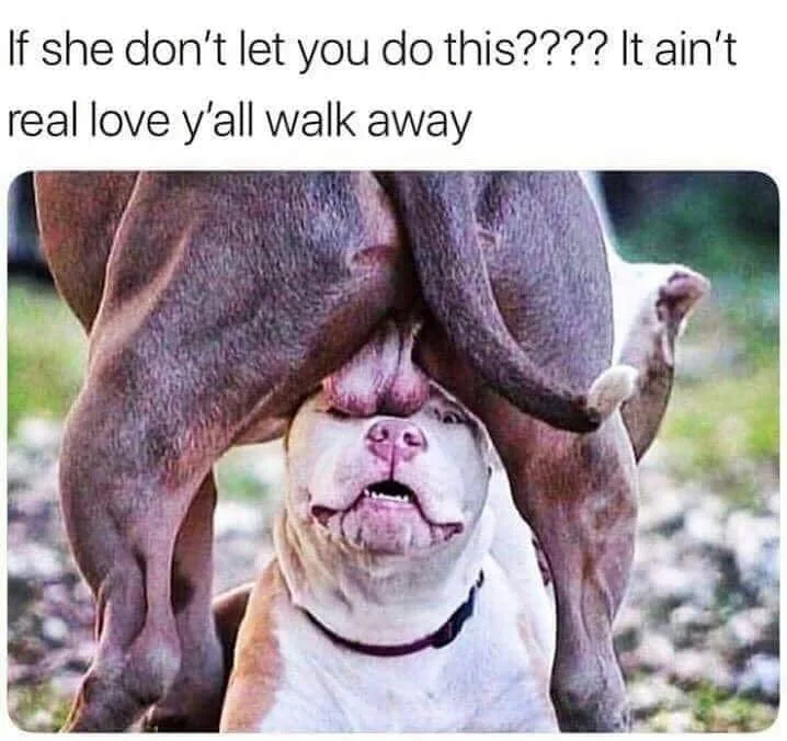 sex position meme