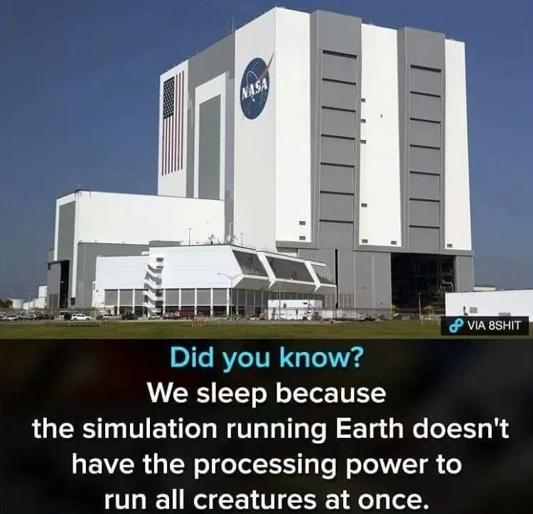 simulation meme