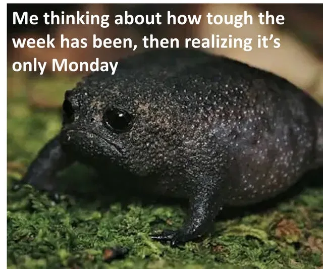 Monday meme