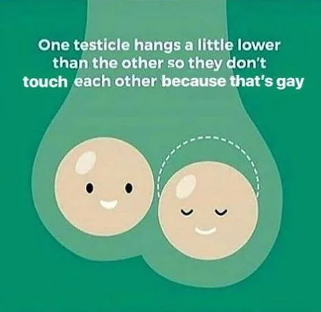 gay meme