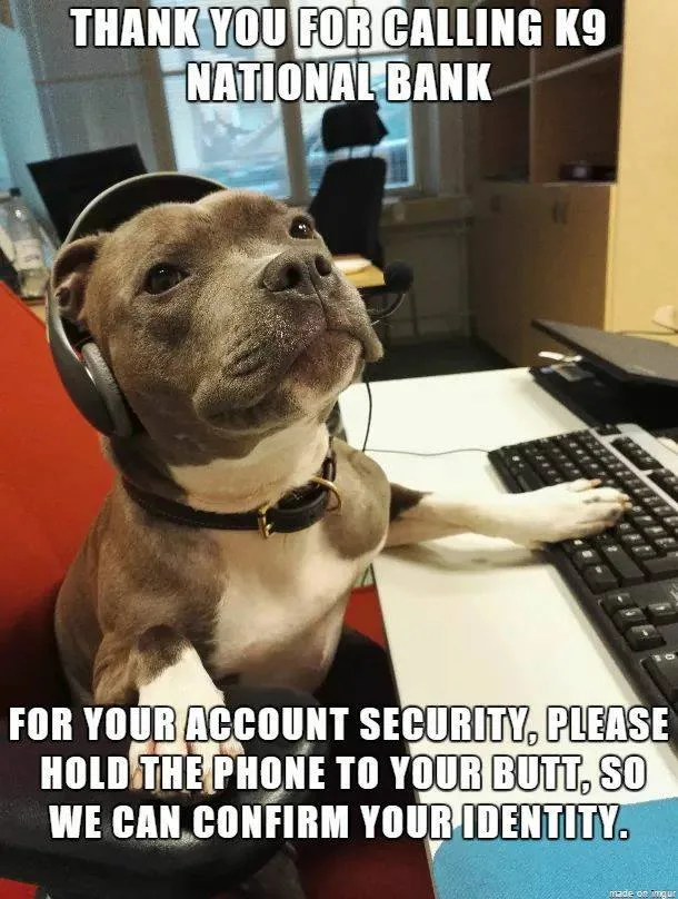 identification meme