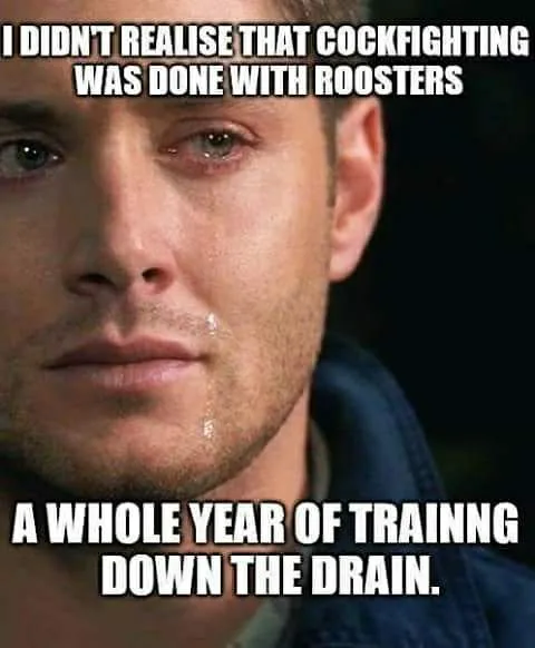 cockfighting meme