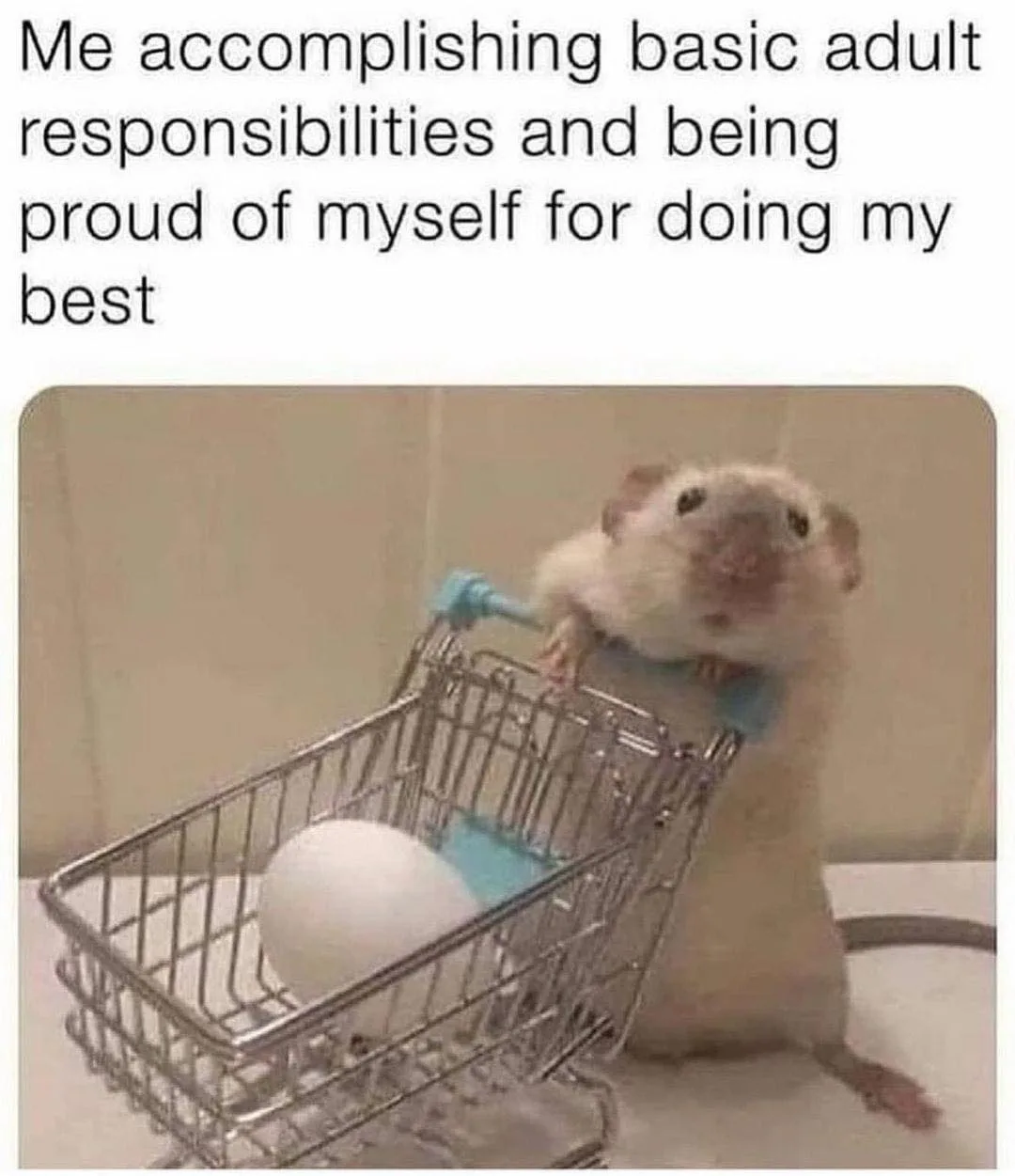 complete mess meme