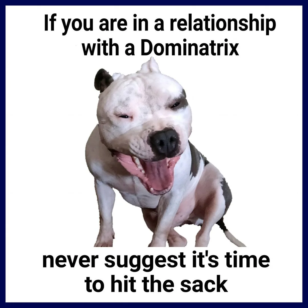S&M meme