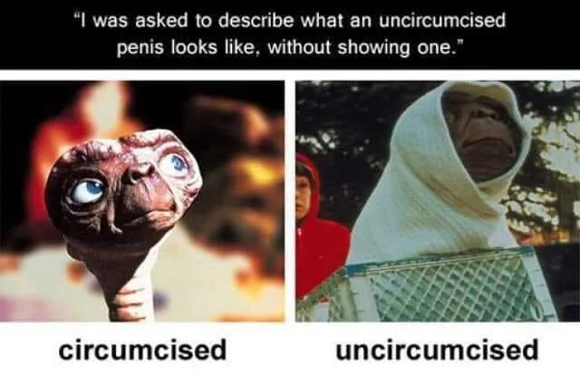 penis meme
