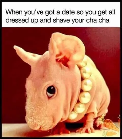 date meme