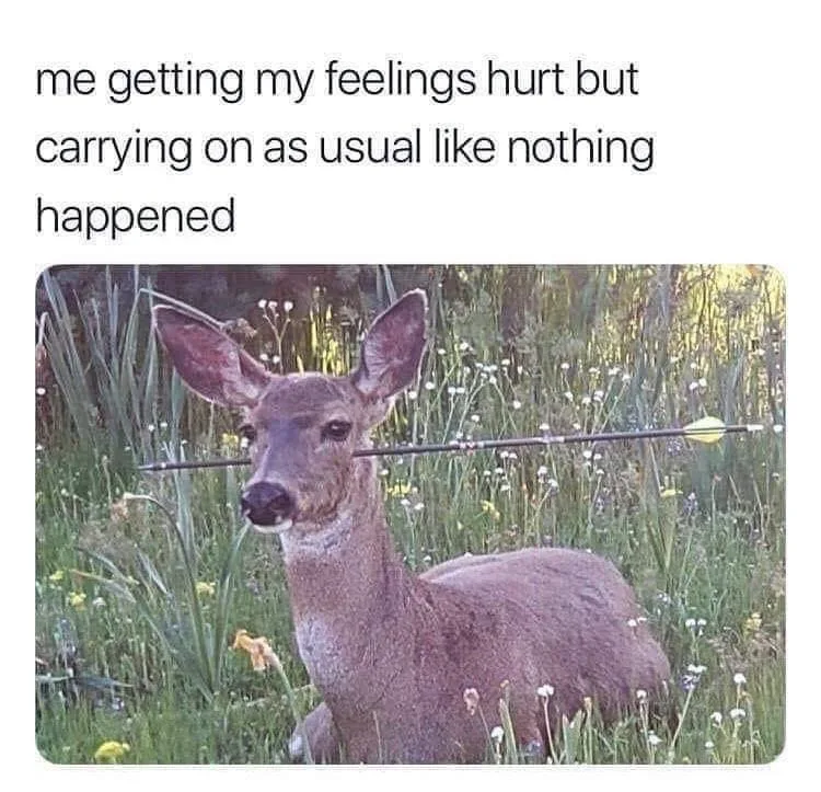 hurt feelings meme