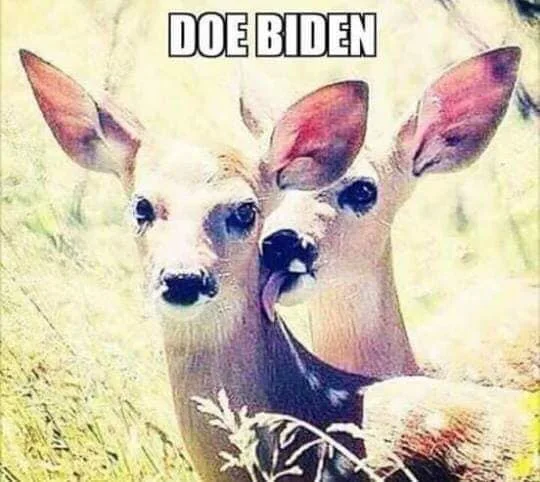 Joe Biden meme
