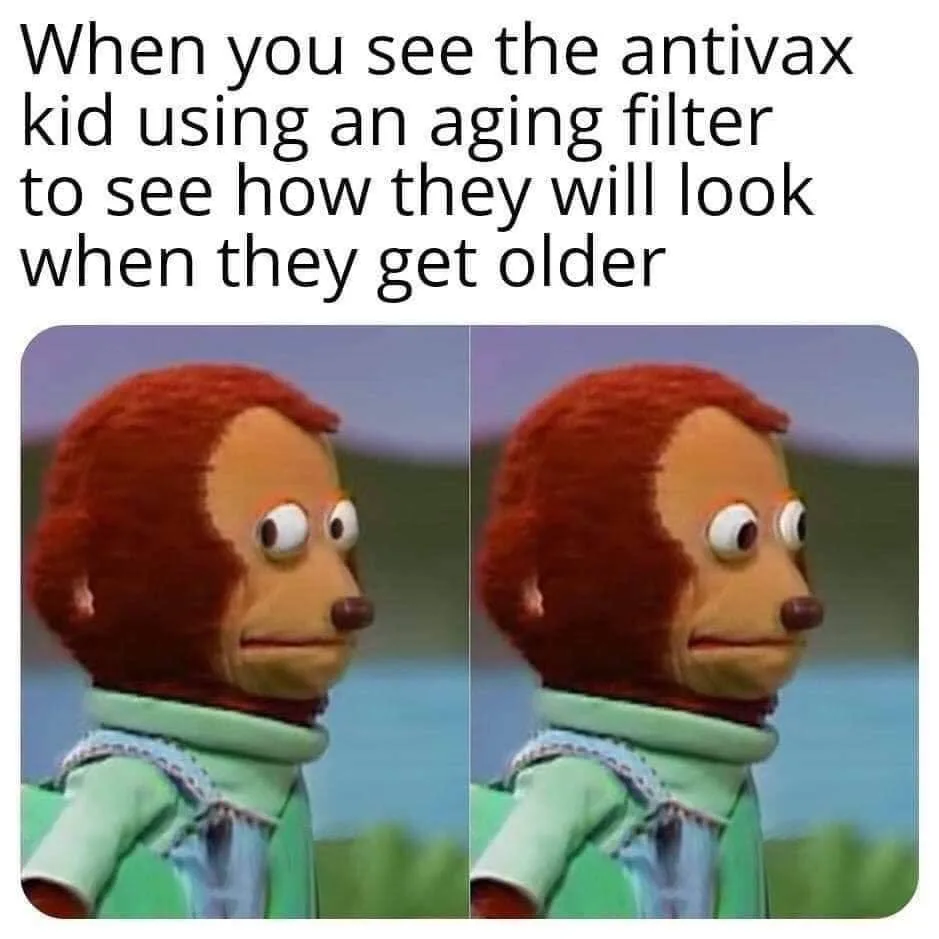aging filter meme