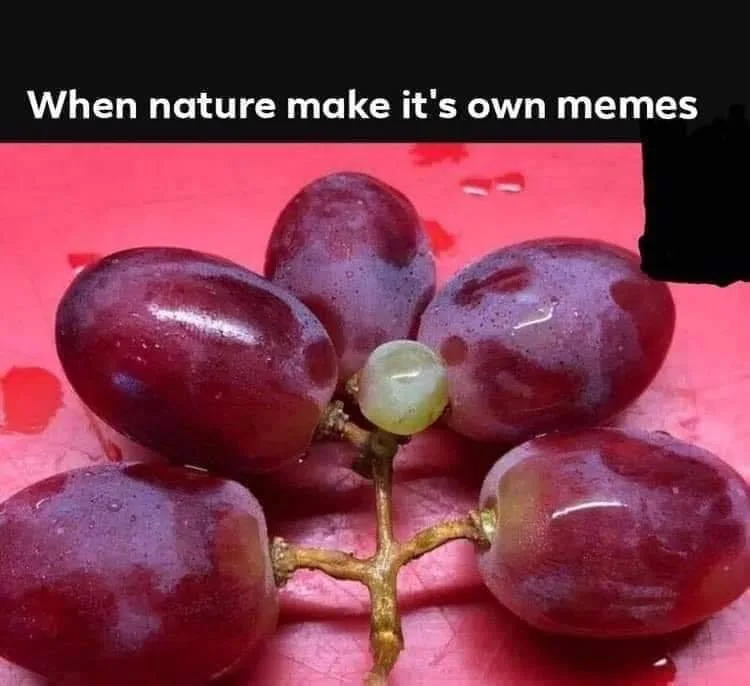 grape meme