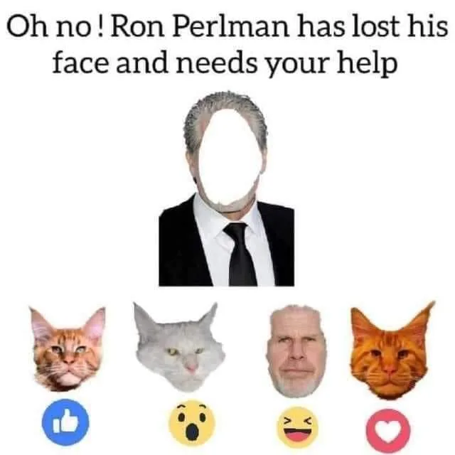 Ron Pearlman meme