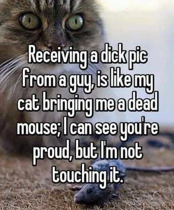 dick pic meme