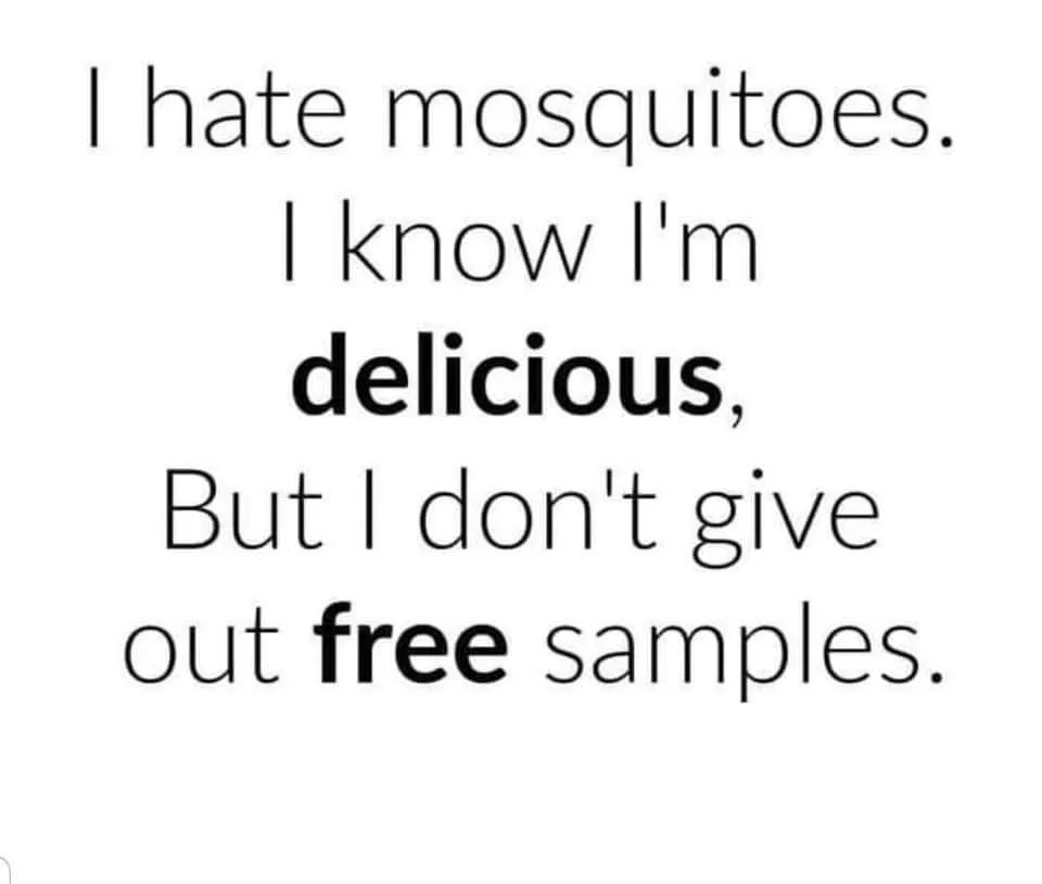 mosquito meme